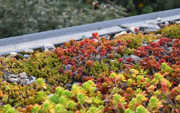 the cost of Windydoors green roof installation