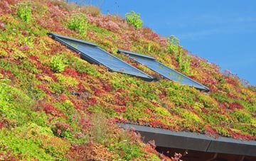 Windydoors living roof systems